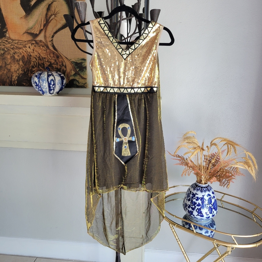 Dream Girl Jewel of the Nile Cleopatra Costume Jrs Small size 3-5 - Picture 2 of 11